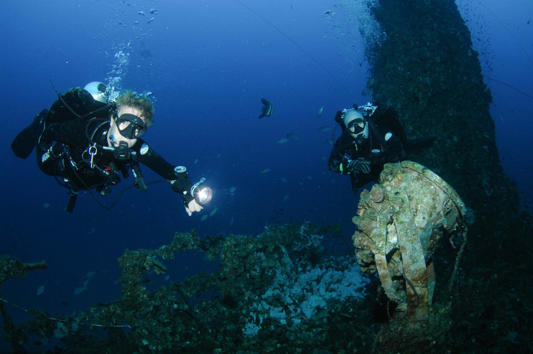 Book Now NAUI Diving Thailand